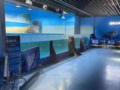 -沙沙哗啦海洋馆(华宇百花谷店)