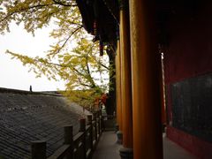 -金堂县云顶石城风景区