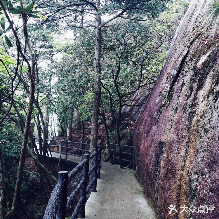 人间四月芳菲尽 花台杜鹃始盛开