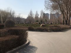 -长春公园(普阳街道)