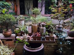 -小洲村