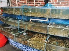 水产区-蟹谢蒸鲜自助餐厅