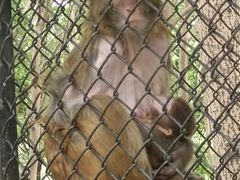 -长白岛森林公园