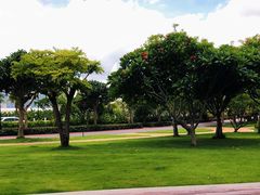 -野狸岛