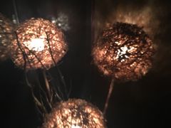-丽晶大班SPA(大沽店)