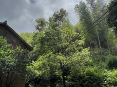 -仙霞关景区