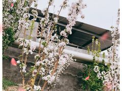 -香山公园
