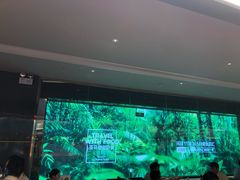 -亚马逊海鲜自助(梅溪湖步步高店)