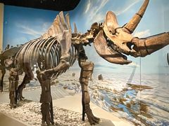 -国家自然博物馆