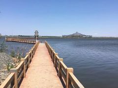 -呼兰河口湿地公园