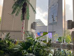 -上海第一八佰伴