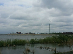 android_upload_pic-呼兰河口湿地公园