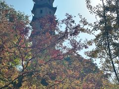 -江心屿景区