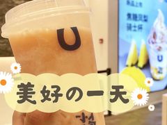 -春丽小马(济南恒隆广场店)