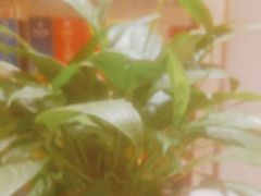 -小八仙·宴(三峡茶庄店)