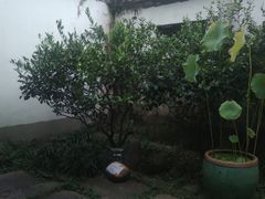 -院子餐厅·大锅菜·老杭帮(桥西直街店)