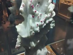 -安徽省地质博物馆
