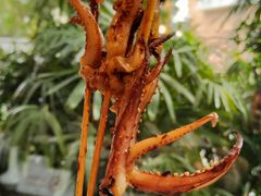 -帝豪酒店•马可勃罗西餐厅