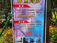 -百万葵园