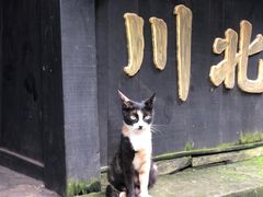-两江国际影视城