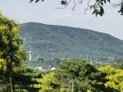 -北京西山国家森林公园