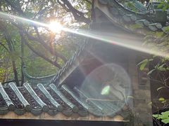 -榴花公园