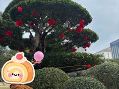 -南宁南湖公园
