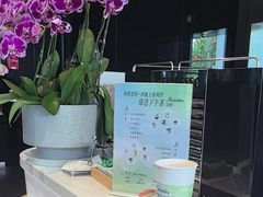 -奔驰上海利星(七宝店)