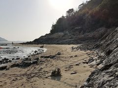 -北岐滩涂