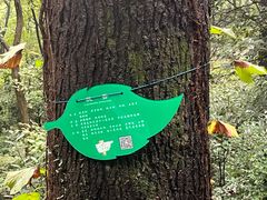 -南京老山国家森林公园