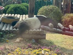 -大连森林动物园