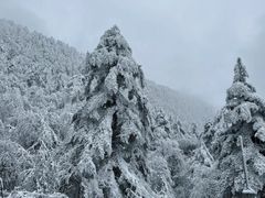 -峨眉山风景名胜区