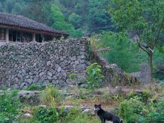 -MOJ coffee(瓯海泽雅水碓坑店)