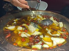 -雲蜀龙阁·金牌水煮鱼(方庄店)