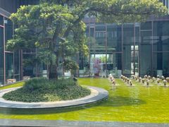 -上海崇明金茂凯悦酒店