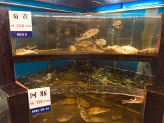 水产区-莆鑫海鲜城(浏河店)