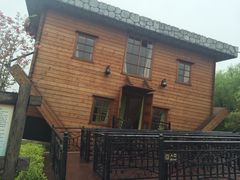 -金山农民画村-枫泾波兰倒置屋