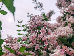 -老君堂公园