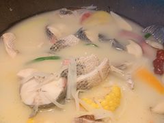 -咕嘟草帽鱼·牛奶一样的鲜鱼汤(天鹅湖万达广场店)