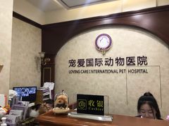-宠爱国际动物医院· 猫科· 外科·中兽医(长白店)