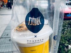 -加减茶饮(高沙店)