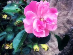 -远山有窑