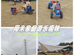 -长洲岛