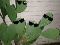 -比格比萨自助(南京万达茂店)