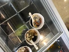 -凉凉海石花