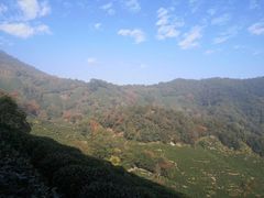 -西湖风景区十里琅珰-五云山