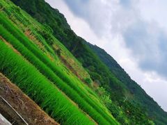 -牙胡梯田