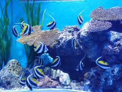 -正佳自然科学博物馆