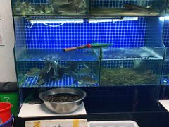 水产区-小本鸡饭店(滨江白马湖店)