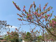 -洪湖家庭农场·团建·露营·会议